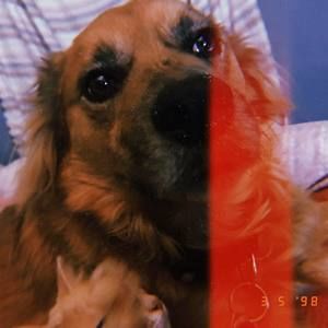 Meet your Posher, Tiara